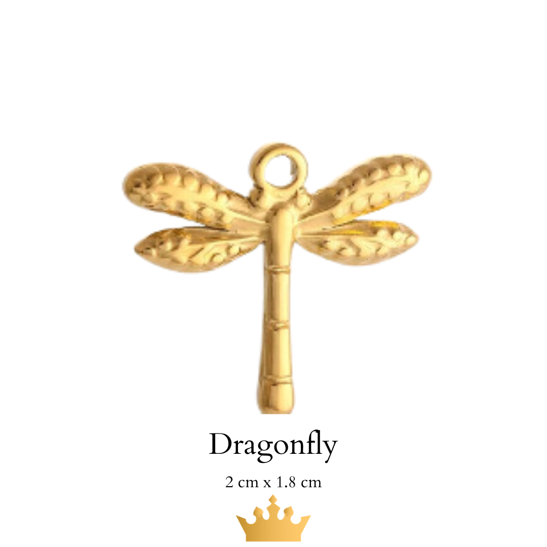 Charm Necklace
